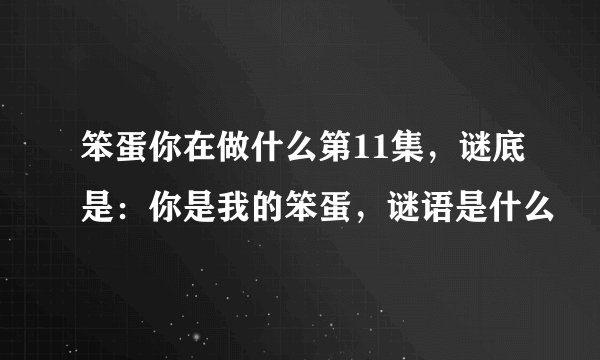 笨蛋你在做什么第11集，谜底是：你是我的笨蛋，谜语是什么