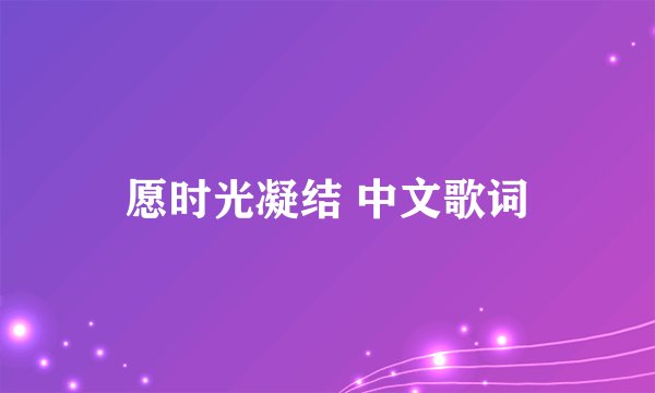 愿时光凝结 中文歌词