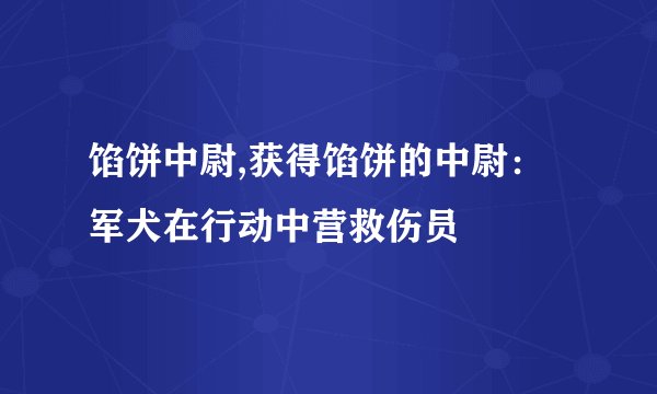 馅饼中尉,获得馅饼的中尉:军犬在行动中营救伤员