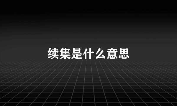 续集是什么意思