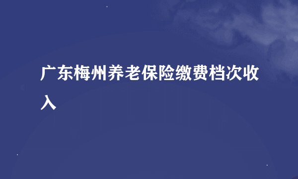 广东梅州养老保险缴费档次收入