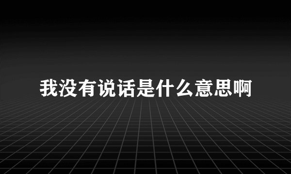 我没有说话是什么意思啊
