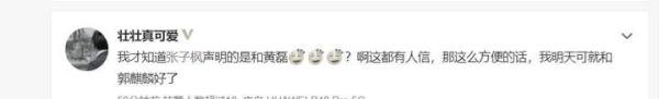 张子枫否认和黄磊有不正当关系,工作室盖章警告:对谣言绝不姑息