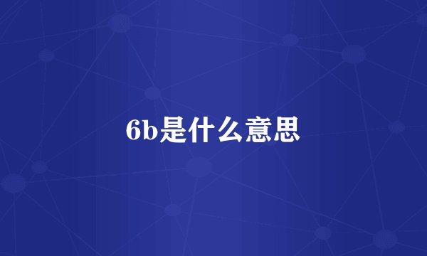 6b是什么意思