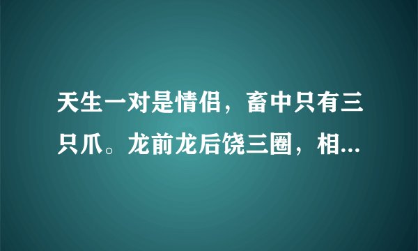 天生一对是情侣，畜中只有三只爪。龙前龙后饶三圈，相亲相爱一百年。猜一生肖