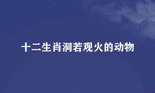 十二生肖洞若观火的动物