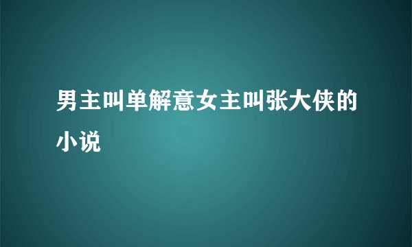 男主叫单解意女主叫张大侠的小说