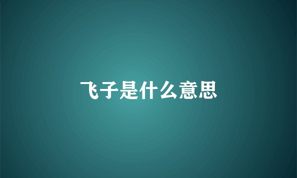 飞子是什么意思