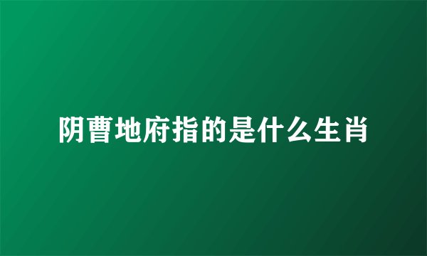 阴曹地府指的是什么生肖