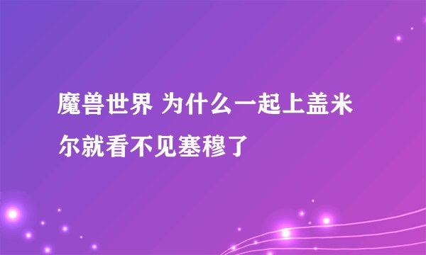 魔兽世界 为什么一起上盖米尔就看不见塞穆了