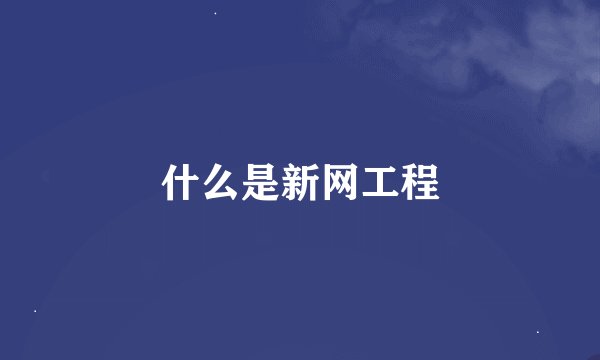 什么是新网工程