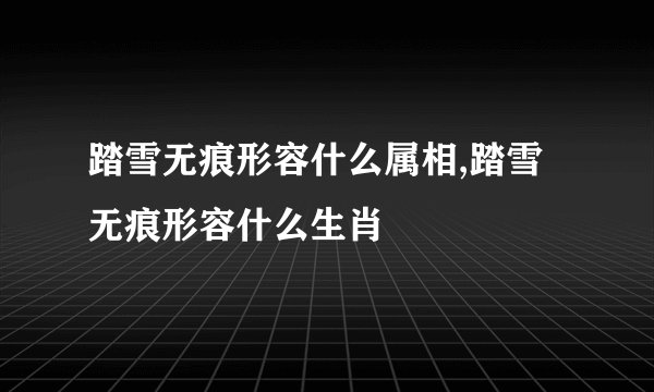 踏雪无痕形容什么属相,踏雪无痕形容什么生肖