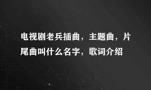 电视剧老兵插曲，主题曲，片尾曲叫什么名字，歌词介绍