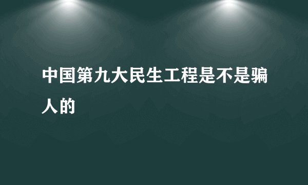 中国第九大民生工程是不是骗人的