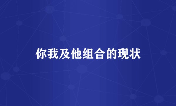 你我及他组合的现状
