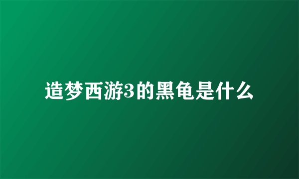 造梦西游3的黑龟是什么