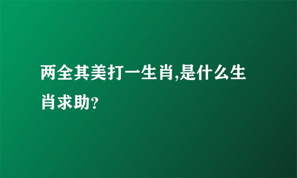 两全其美打一生肖,是什么生肖求助？
