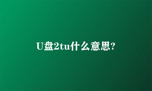 U盘2tu什么意思?