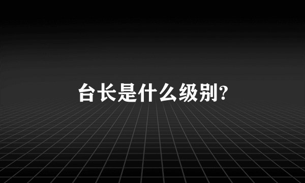 台长是什么级别?