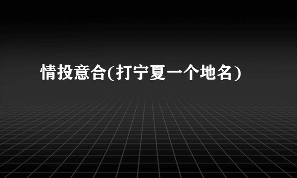 情投意合(打宁夏一个地名)