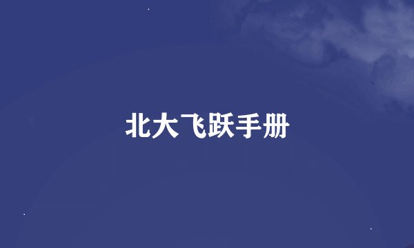 北大飞跃手册