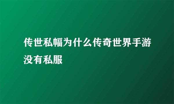 传世私幅为什么传奇世界手游没有私服