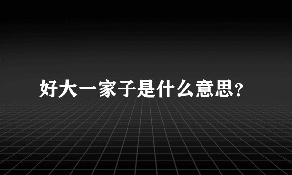好大一家子是什么意思?
