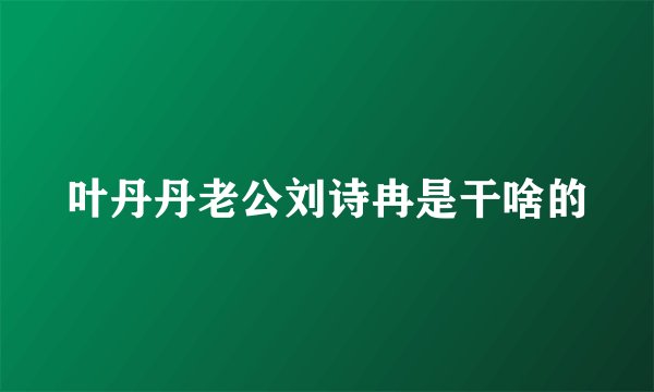 叶丹丹老公刘诗冉是干啥的