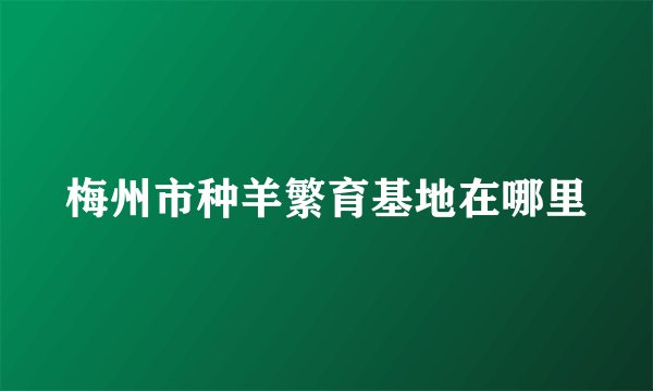梅州市种羊繁育基地在哪里