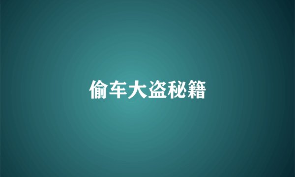 偷车大盗秘籍