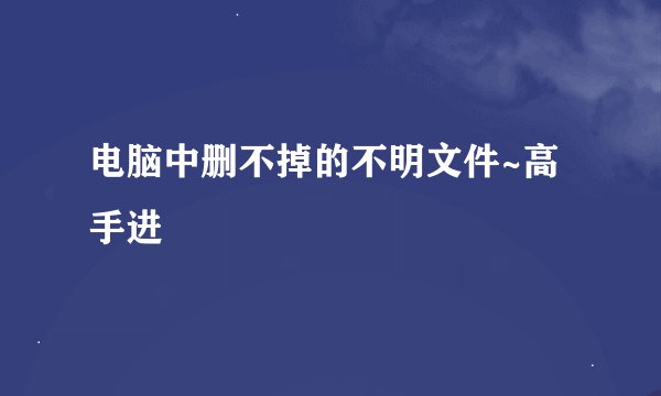 电脑中删不掉的不明文件~高手进