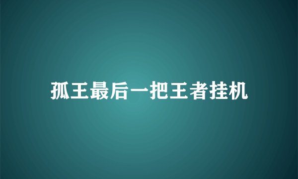 孤王最后一把王者挂机