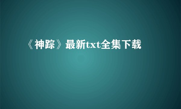 《神踪》最新txt全集下载