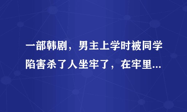 一部韩剧，男主上学时被同学陷害杀了人坐牢了，在牢里学会很多技能，