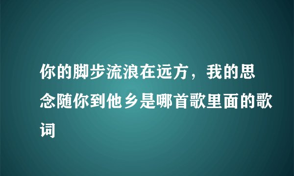 你的脚步流浪在远方，我的思念随你到他乡是哪首歌里面的歌词