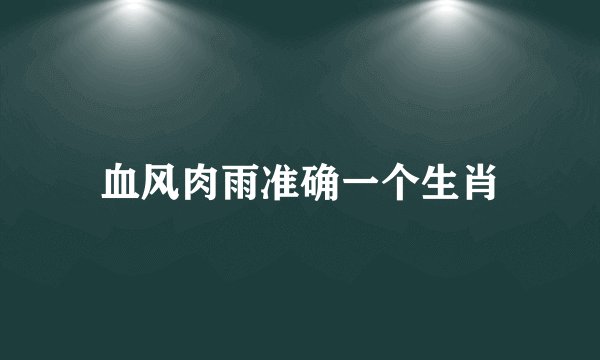 血风肉雨准确一个生肖
