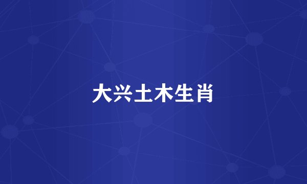 大兴土木生肖