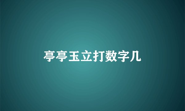 亭亭玉立打数字几