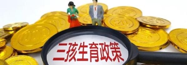 三胎政策纳入个人所得税什么意思
