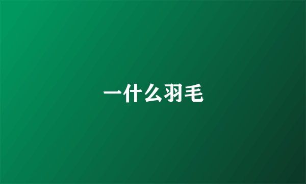 一什么羽毛