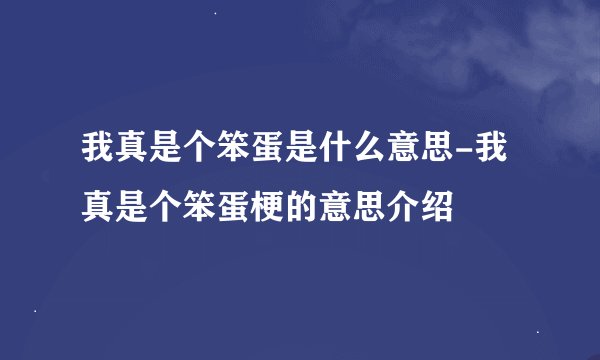 我真是个笨蛋是什么意思-我真是个笨蛋梗的意思介绍