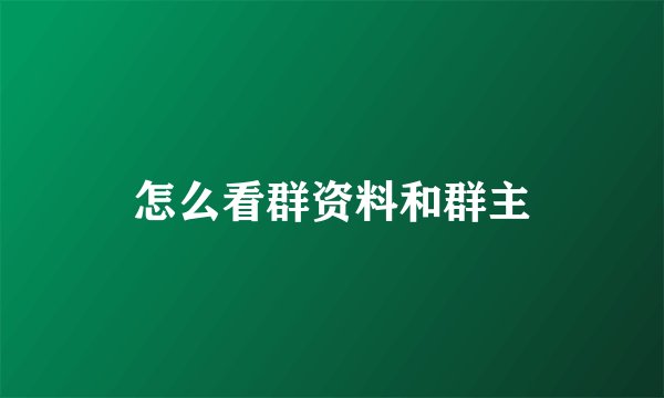 怎么看群资料和群主