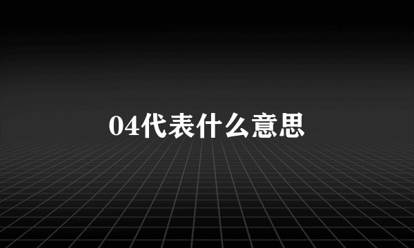 04代表什么意思