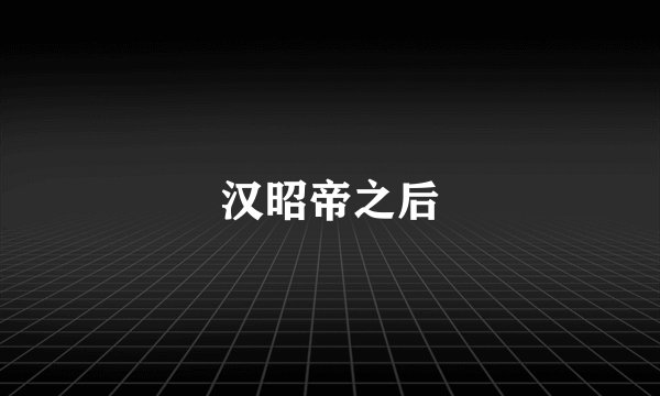 汉昭帝之后