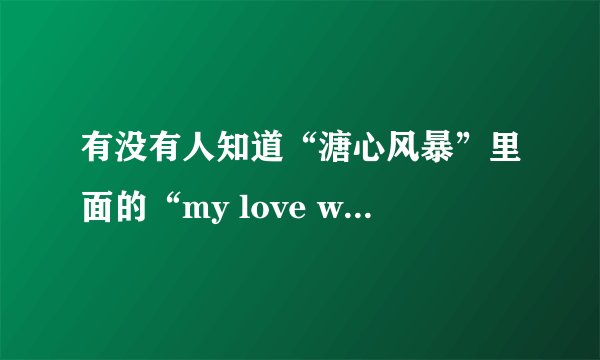 有没有人知道“溏心风暴”里面的“my love will get you home”的歌词中文解释啊?