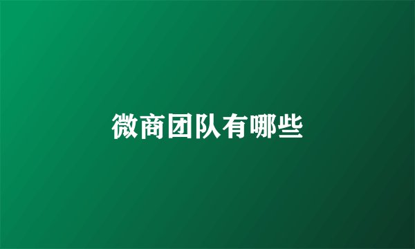 微商团队有哪些