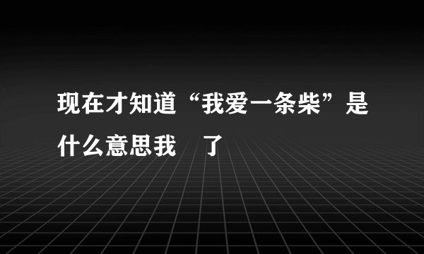 现在才知道“我爱一条柴”是什么意思我煋了