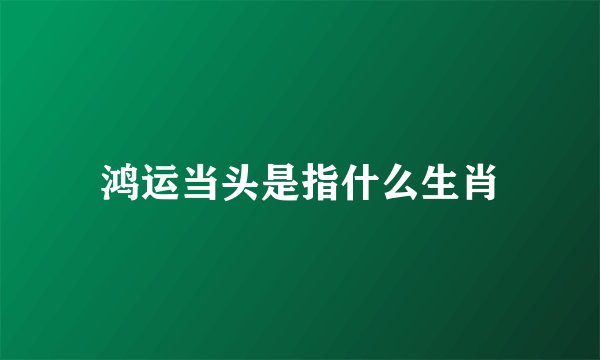 鸿运当头是指什么生肖