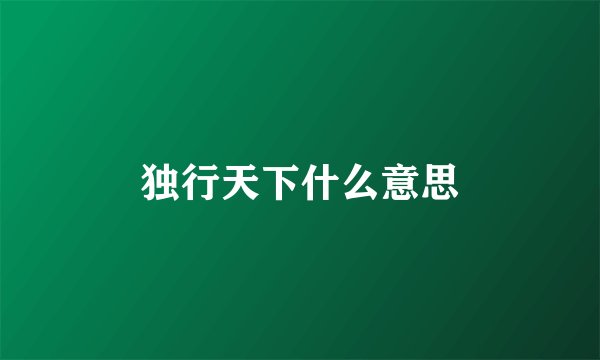 独行天下什么意思