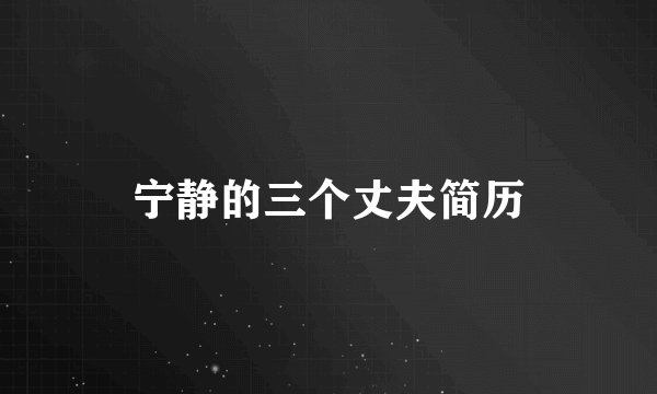 宁静的三个丈夫简历